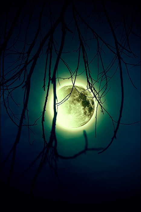 月亮的诱惑°