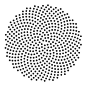 Sunflower Fibonacci Spiral<br/>喇叭孔纹理