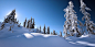 Winter Snow 2 Twitter Cover & Twitter Background | TwitrCovers