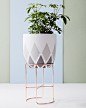 DESIGNER SPOTLIGHT | IVY MUSE BLOG : Ivy muse design beautiful, functional plant stands and botanical wares that encourage you to get creative with your greenery.