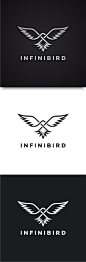 Infinity Bird : Infinity Bird