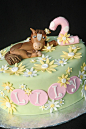 pony cake