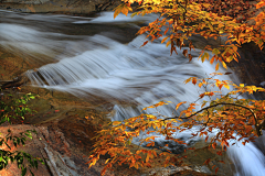 深谷小溪采集到秋水