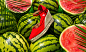 Tropical shoes : Tropical shoesSummer sale of colourful high heels shoes, we decided to make something fresh, fruity and tropical.Brand : Castaner