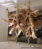 Floating Root Sculpture