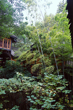 honghui采集到柳暗重门，花深小院