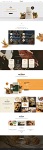 Organici - Organic Store PSD Template