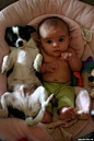 婴儿和宠物狗的成长故事