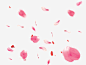飞舞粉色红色花瓣高清素材 页面网页 平面电商 创意素材 png素材