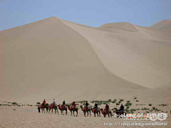 coford采集到西北掠影——沙海清泉,