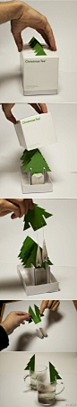[创意] 克罗地亚Mint工作室设计的圣诞树茶包（Christmas Tea）。