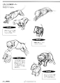 艺用解剖的猫科动物图解
.
研究豹子的动态与内部结构
.
练习动物素描与插画必备
.
铃木真理 ​​​​