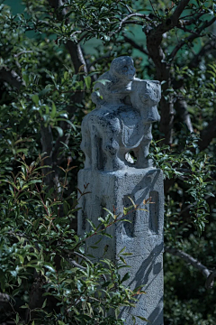 landscaper-采集到居住区-中式