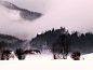 房子,位于,奥地利,阿尔卑斯山,树林,后面,积雪,山