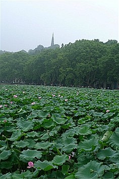 杭州旅游