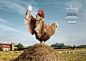 Bankia Print Ad - Chicken - Egg 