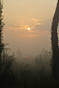 prairie-sunrise-029.jpg (3456×5184)
