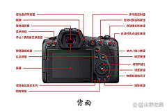 zhhw17采集到素材