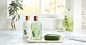 Eucalyptus | Fresh Fragrance Collection : Thymes Eucalyptus scent is fresh, crisp & beloved. Our top-rated Eucalyptus body lotion, body wash & more are products that infuse the day with possibility.