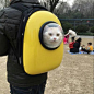 liu宠物背包创意upet猫用宇航员太空舱透明透气宠物双肩遛猫包-淘宝网