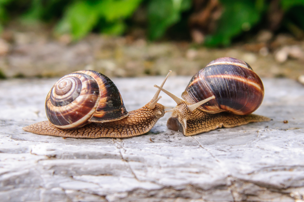 6d0ed740334d04c7ac9a97cee6d51ec4e8390fe689696-wab2xY