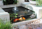 glass on the front of the koi pond: 