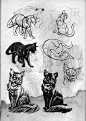 【资料交流】动物画技法 中文版 扫描_看图_动物绘画吧_百度贴吧