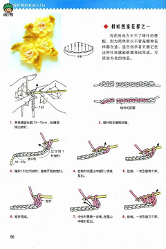 小宸宸采集到钩织基础