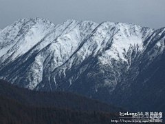 xiejiating采集到旅游 四姑娘山.长坪沟, 