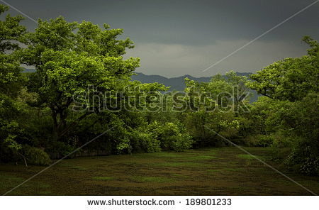 西溪湿地xixi wetland - s...