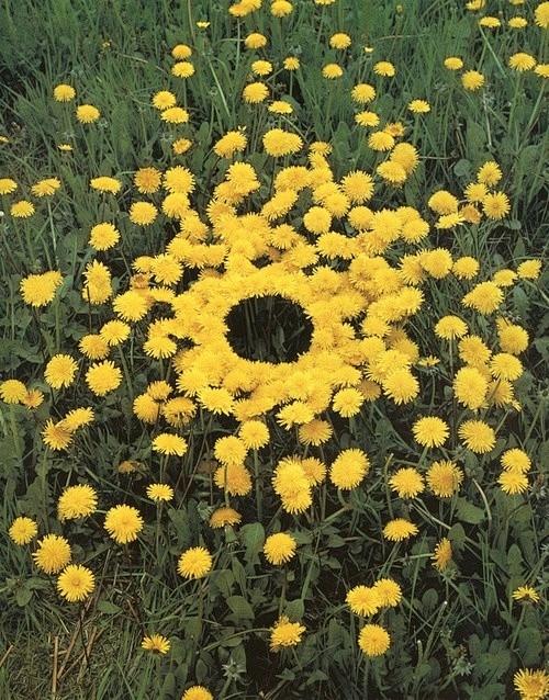 Andy Goldsworthy: 