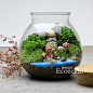 Ecoecho苔藓微景观 苔藓瓶 生态瓶 宫崎骏系列【MAY】-淘宝网