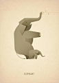 Animal Alphabet-26个动物象形字母字体设计---酷图编号1096952