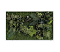 plant picture | plant islands 100x60cm by styleGREEN | Wall decoration