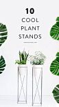 The best plant stands on the market!: