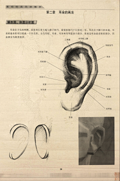 Recall回采集到孙无力