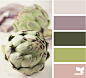 artichoke tones