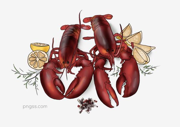 6dab112ec0e5747ca950d496a26916e9d80ad1688015-e9XdFu