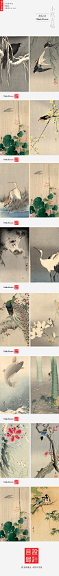 花鳥之美· 小原古邨 ｜ 日本畫家。明治10年(1877)～昭和20年(1945)。生於金沢，本名小原又雄，日本畫家鈴木華邨的學生。在美國Ernest Fenollosa博士的指引下，創作了許多銷往美國的kacho-ga作品。大量花鳥畫作品，描繪逼真，色彩柔和流暢，是極為精致的室內裝飾畫。