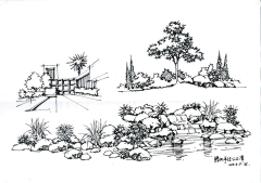 齐尚景观-庭院/文旅采集到景观设计手绘/线稿/手绘学习