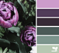 Design Seeds : Design Seeds color palettes ... posted daily for all who love color.