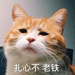 浅巷墨漓彡采集到橘猫