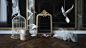 Ballet dance hall : Ballet dance hall 3d max 2015 +vray 