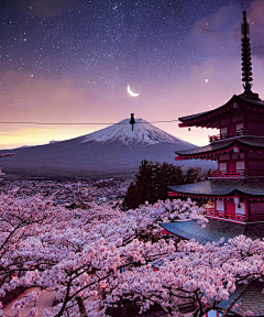 陆墨清采集到夜景 星空