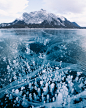 Winter in Alberta on Behance