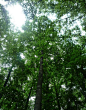 信阳的氧吧——波尔登森林公园