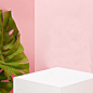 简约植物粉色服装主图背景素材