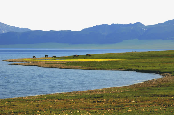 6dfb7fb3523684151433c87597b0b733b48e4715ddb6-CUslYv