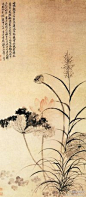 清 恽寿平《荷花芦草图》--- 此画描绘了秋风萧瑟之中，一茎新荷凌空而出，盛放的花瓣娇艳动人，与凋残半枯的荷叶以及枯槁无色的莲蓬形成鲜明对比。