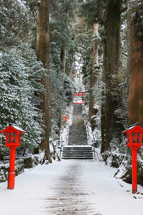 Winter in Japan